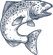 Ico AB Pêche Laon