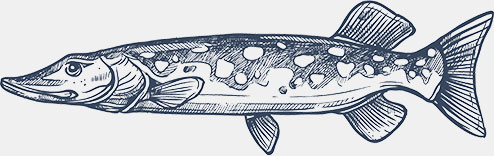 AB Pêche Laon